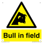 WV12048: Bull in field