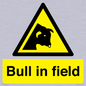 WV12048: Bull in field
