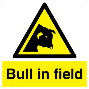 WV12048: Bull in field