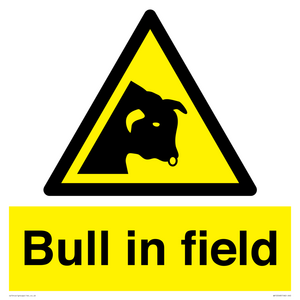 WV12048: Bull in field