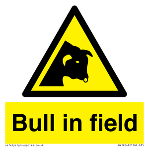 WV12048: Bull in field