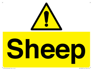 WV12090: Sheep