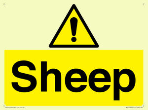 WV12090: Sheep