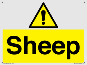 WV12090: Sheep