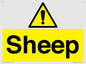 WV12090: Sheep