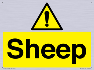 WV12090: Sheep