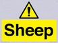 WV12090: Sheep