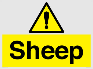 WV12090: Sheep