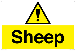 WV12090: Sheep