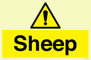 WV12090: Sheep