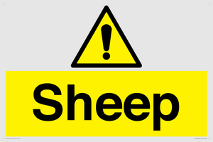 WV12090: Sheep