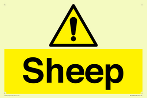 WV12090: Sheep