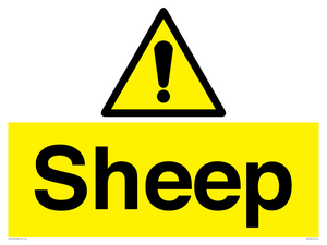 WV12090: Sheep