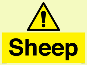 WV12090: Sheep