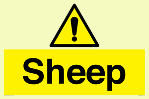 WV12090: Sheep