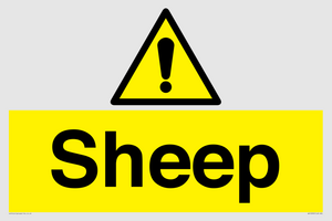 WV12090: Sheep