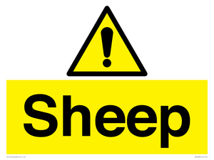 WV12090: Sheep
