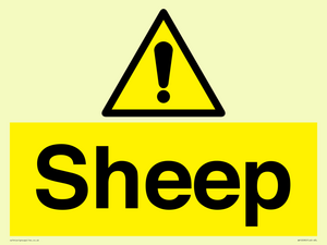 WV12090: Sheep