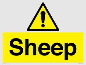 WV12090: Sheep