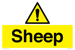 WV12090: Sheep