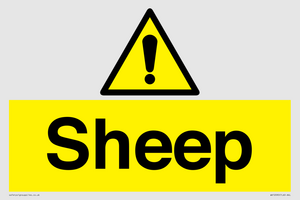 WV12090: Sheep