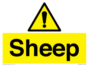 WV12090: Sheep