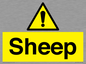 WV12090: Sheep
