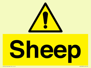 WV12090: Sheep