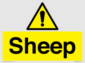 WV12090: Sheep
