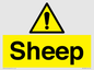 WV12090: Sheep