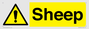 WV12090: Sheep