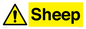 WV12090: Sheep
