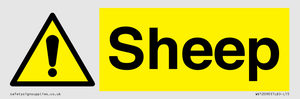 WV12090: Sheep