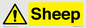 WV12090: Sheep