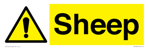 WV12090: Sheep