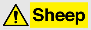 WV12090: Sheep