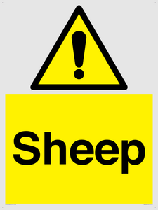 WV12090: Sheep
