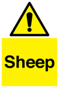 WV12090: Sheep