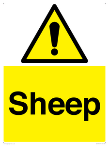 WV12090: Sheep