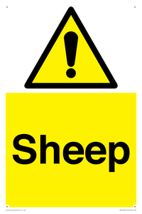 WV12090: Sheep