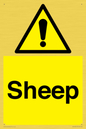 WV12090: Sheep