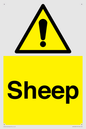 WV12090: Sheep