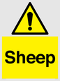 WV12090: Sheep