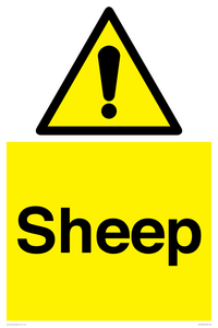 WV12090: Sheep