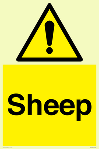 WV12090: Sheep