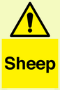 WV12090: Sheep