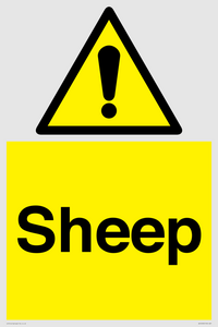 WV12090: Sheep