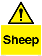 WV12090: Sheep