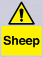 WV12090: Sheep