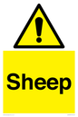 WV12090: Sheep